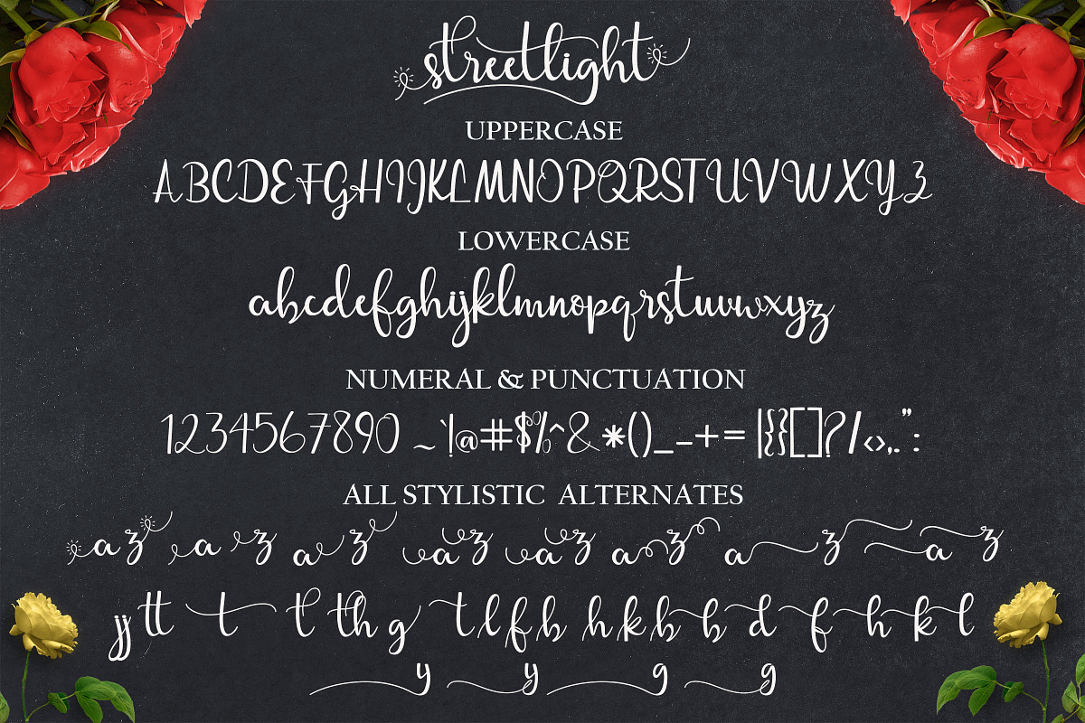 streetlight script, a Script Font by MrLetters (Photo 9 of 10)