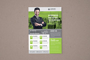 Flyer Template, a Flyer Template by Alice_s (Thumbnail 6 of 10)