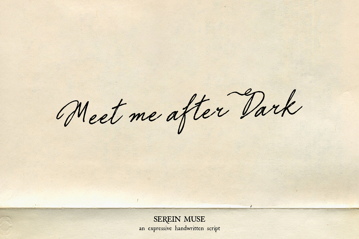 Serein Muse Handwritten Script, a Script Font by Mneme (Photo 3 of 8)