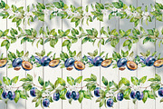 Blooming plum watercolor clipart, a Decorative Illustration by Eva Kleinman (Thumbnail 10 of 14)