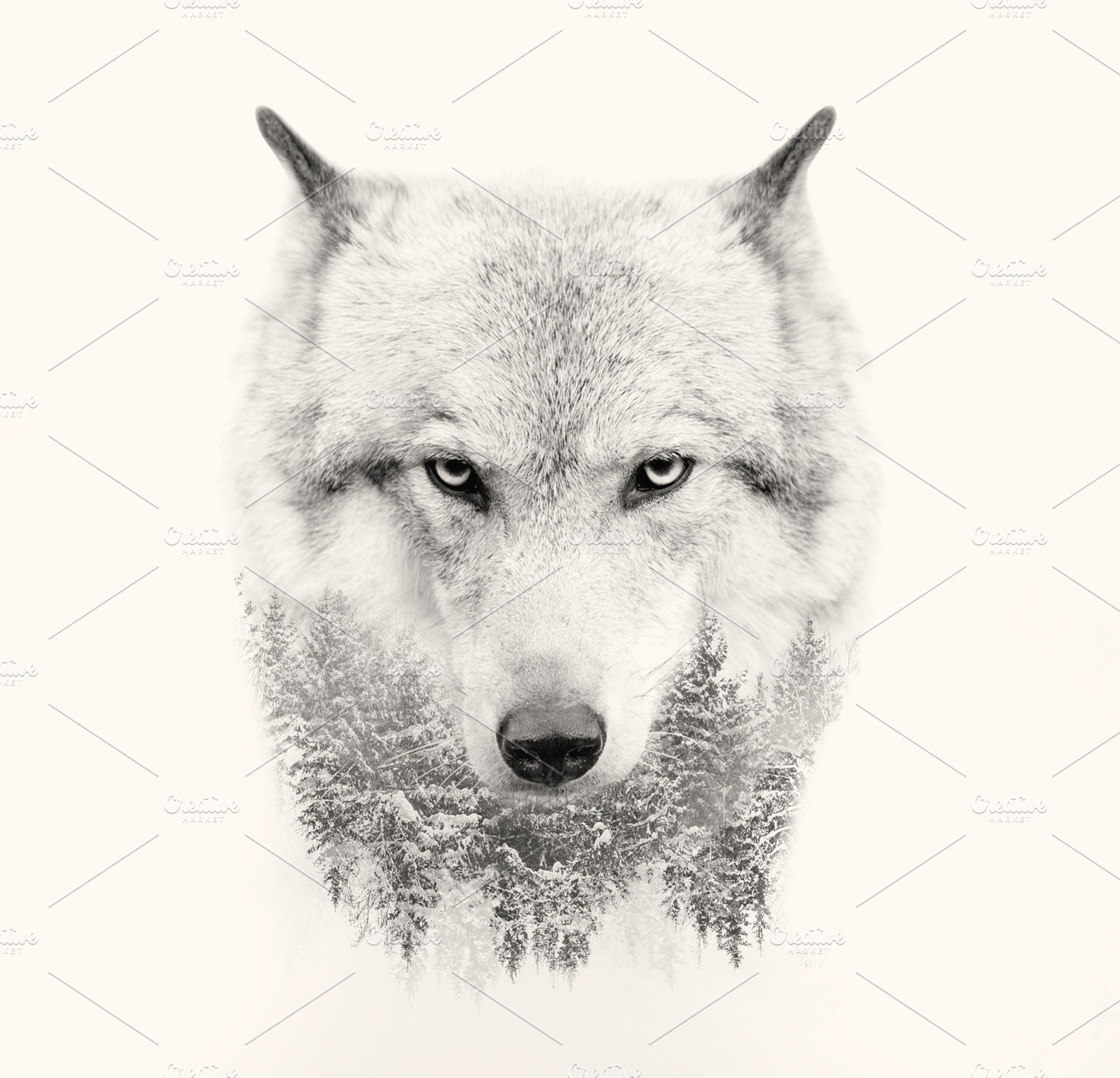 Wolf double exposure stock photo containing wolf and head, an Animal Photo by Olgait