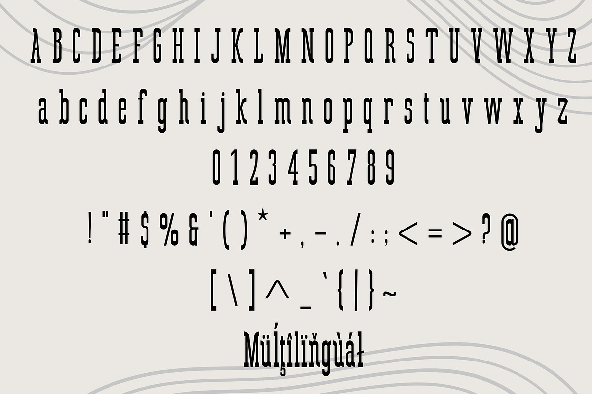Esmarelle – Slab Serif Font, a Slab Serif Font by NDNL Studio (Photo 5 of 6)