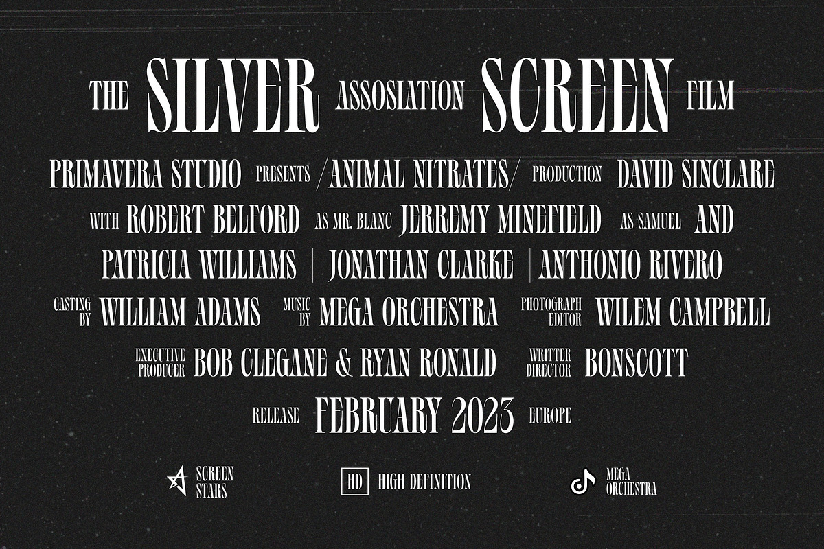 Silvermist Display Serif, a Serif Font by Letteralle Studios (Photo 3 of 9)