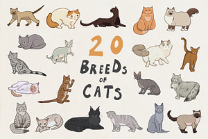 Breeds Of Cats