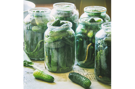 preservation of fresh house, a Food & Drink Photo by yanadjana