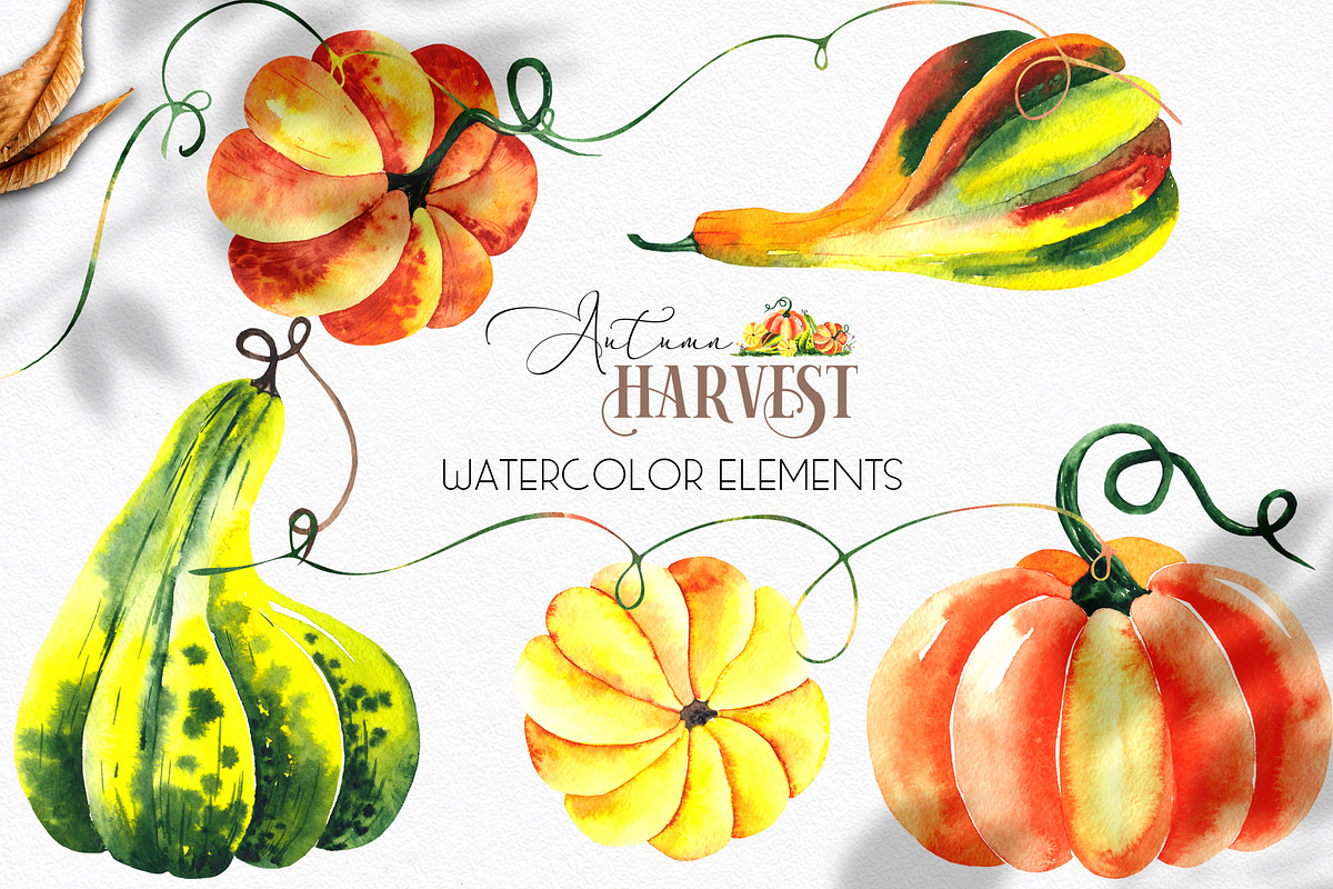Watercolor Autumn Harvest, an Object Graphic by Ana-Sakuta (Photo 15 of 17)