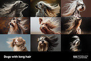 Dogs with long hair. 111 images, an Animal Photo by Handmadefont (Thumbnail 3 of 15)