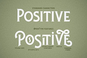 Lansdowne, a Serif Font by Twicolabs Fontdation (Thumbnail 7 of 8)