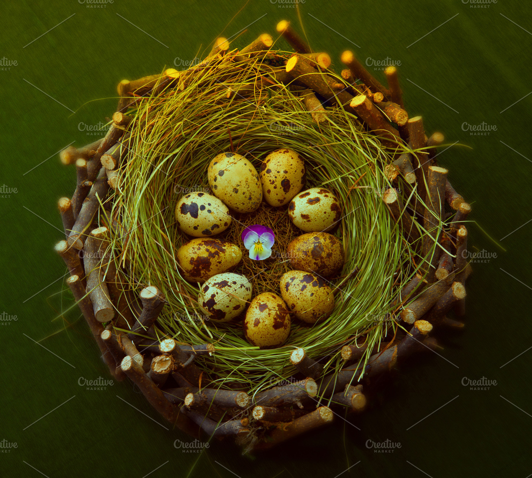 quail eggs in a wooden nest on gre, a Nature Photo by OXYMORON 