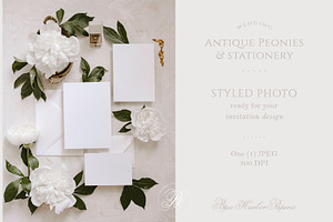 Wedding Invitation Styled Stock
