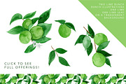 Juicy Watercolor Lime Set, an Illustration by One and Only Paper (Thumbnail 2 of 6)