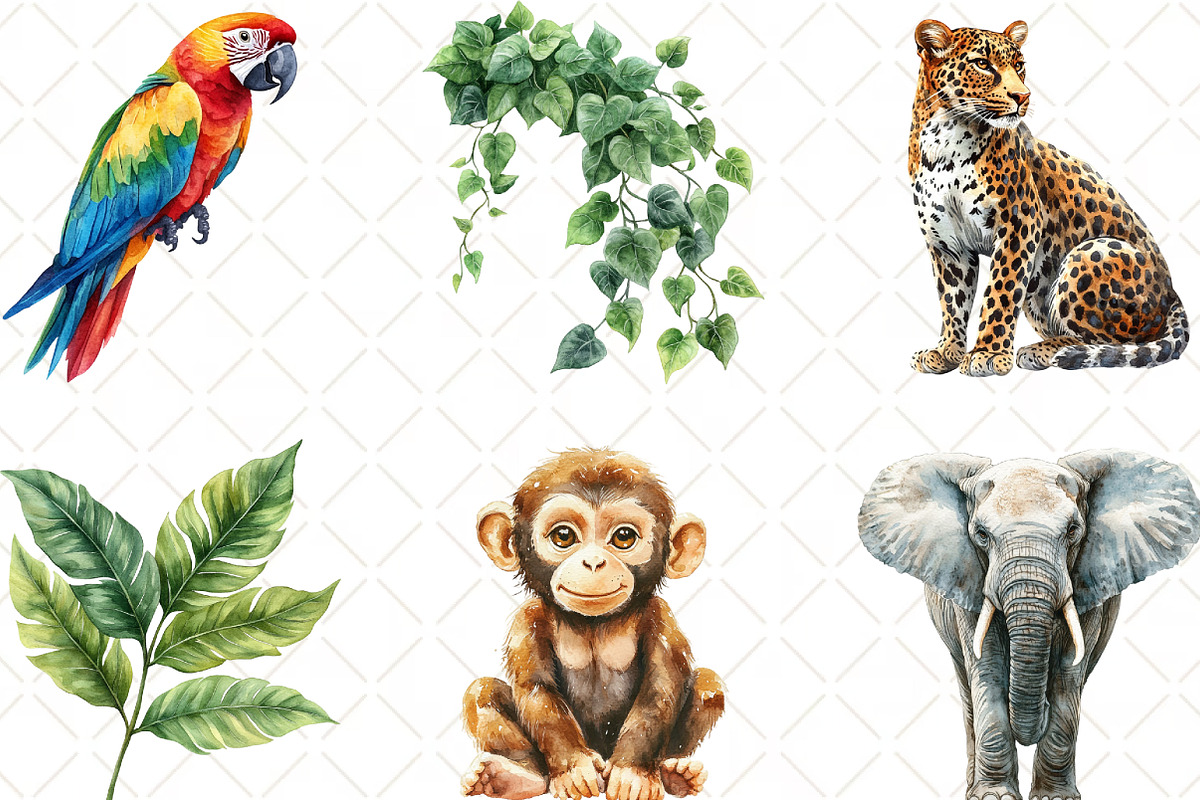 Jungle Adventure Clipart Bundle, an Illustration by Black Bird Studio (Photo 3 of 6)