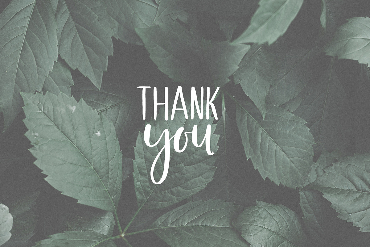 Melloner Fonts, a Script Font by alit design (Photo 12 of 12)