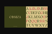Canniza - Display Serif Font, a Serif Font by Prominent & Affluent (Thumbnail 3 of 8)