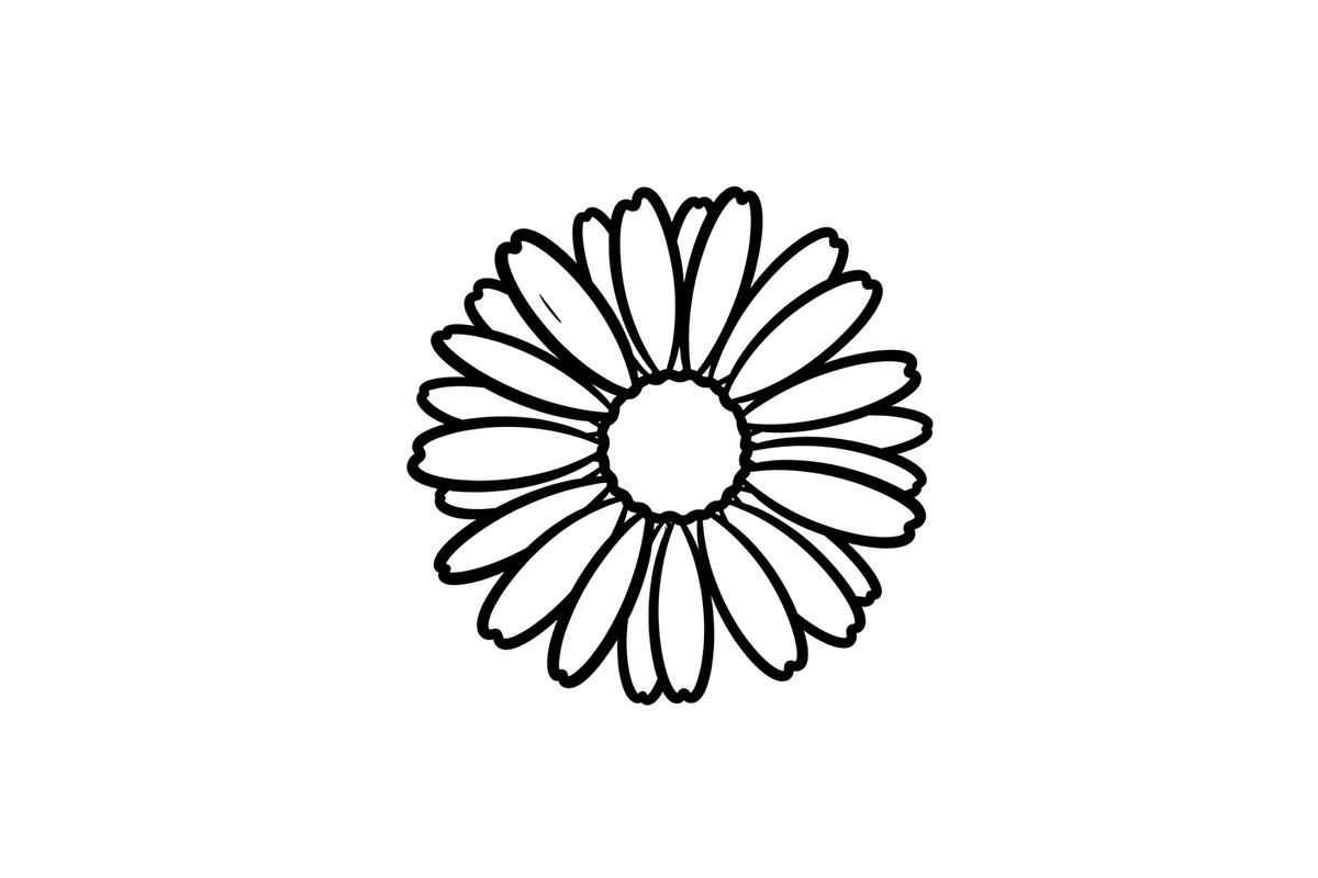Daisy Flower Line Art Vector Bundle0, an Illustration by jahid234 (Photo 49 of 51)