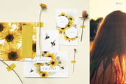 Sunny sunflowers, watercolor flowers, a Texture Illustration by ollalya (Thumbnail 3 of 16)