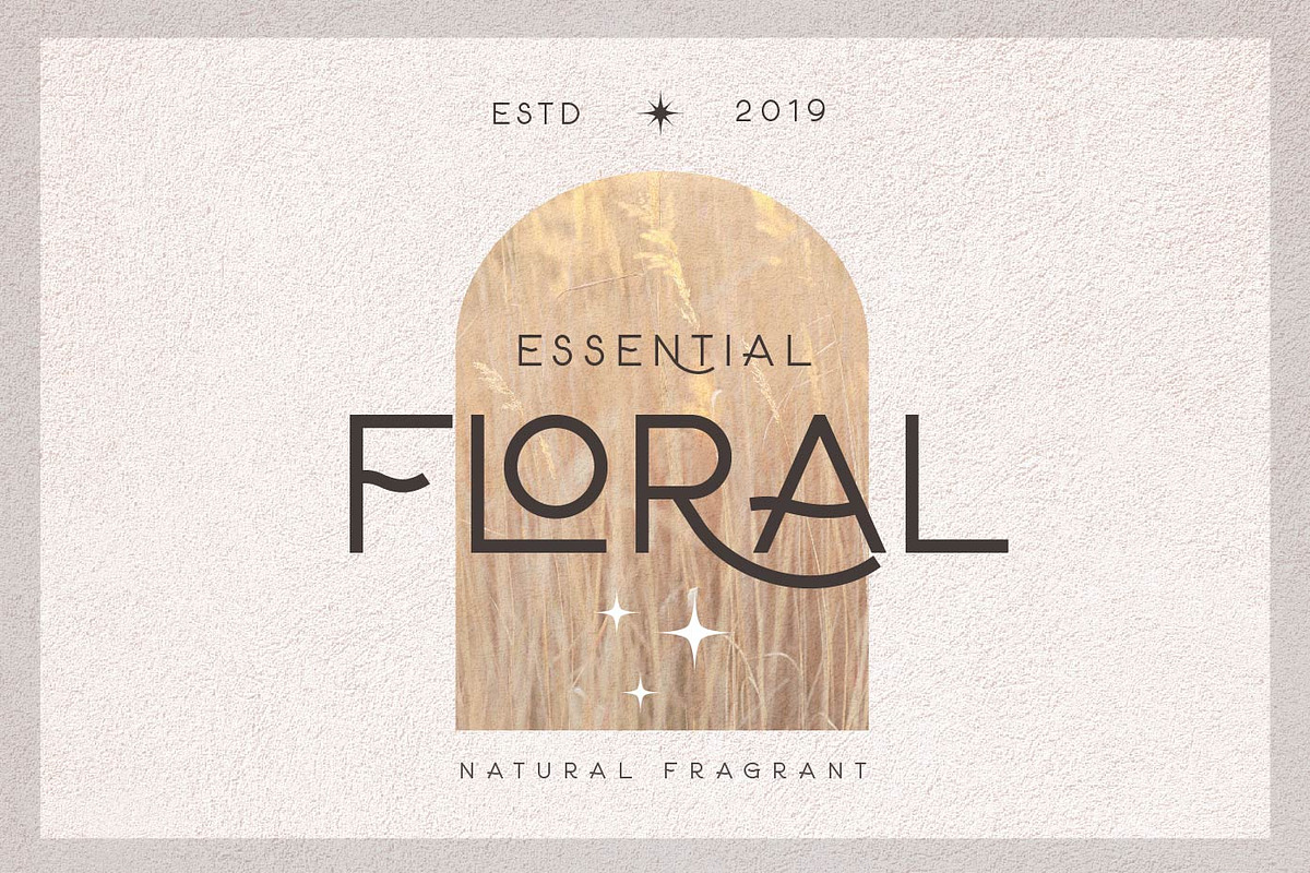 Anisver - Elegant Sans Font, a Sans Serif Font by Patria Ari (P4tcreativa) (Photo 10 of 14)