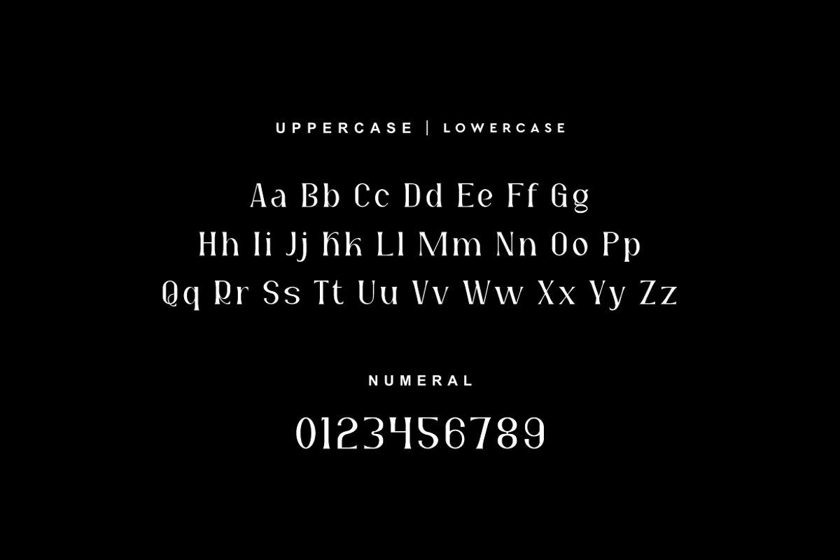 Ragkote - Modern Serif Font, a Serif Font by QR Design Studio (Photo 5 of 11)
