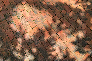 Tree shadows on brick floor, a Background Photo by ArtBackground