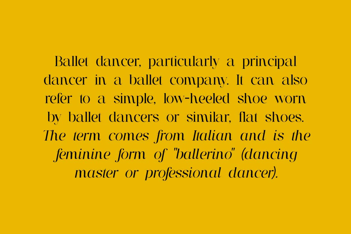 Brigton Newport Serif Font, a Serif Font by UICreative (Photo 2 of 13)