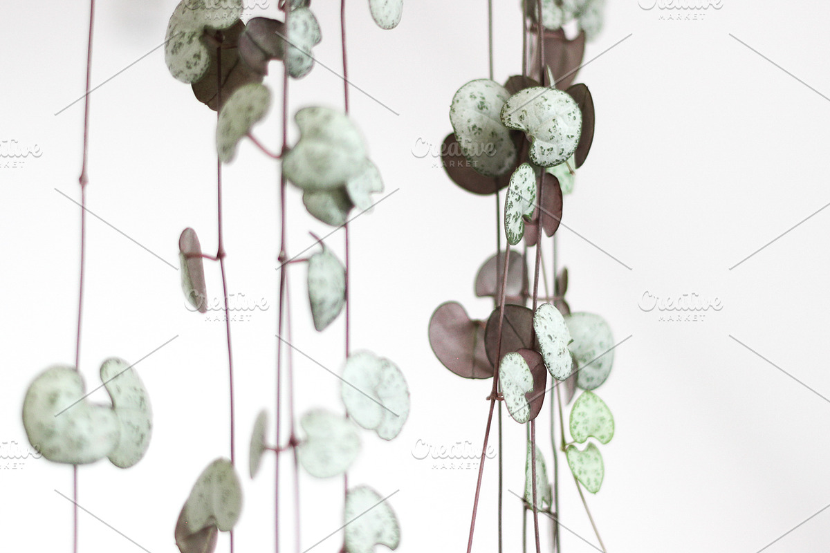 Neutral Collection | Styled Stock, a Business Photo by Chalking Up Stock (Photo 3 of 25)