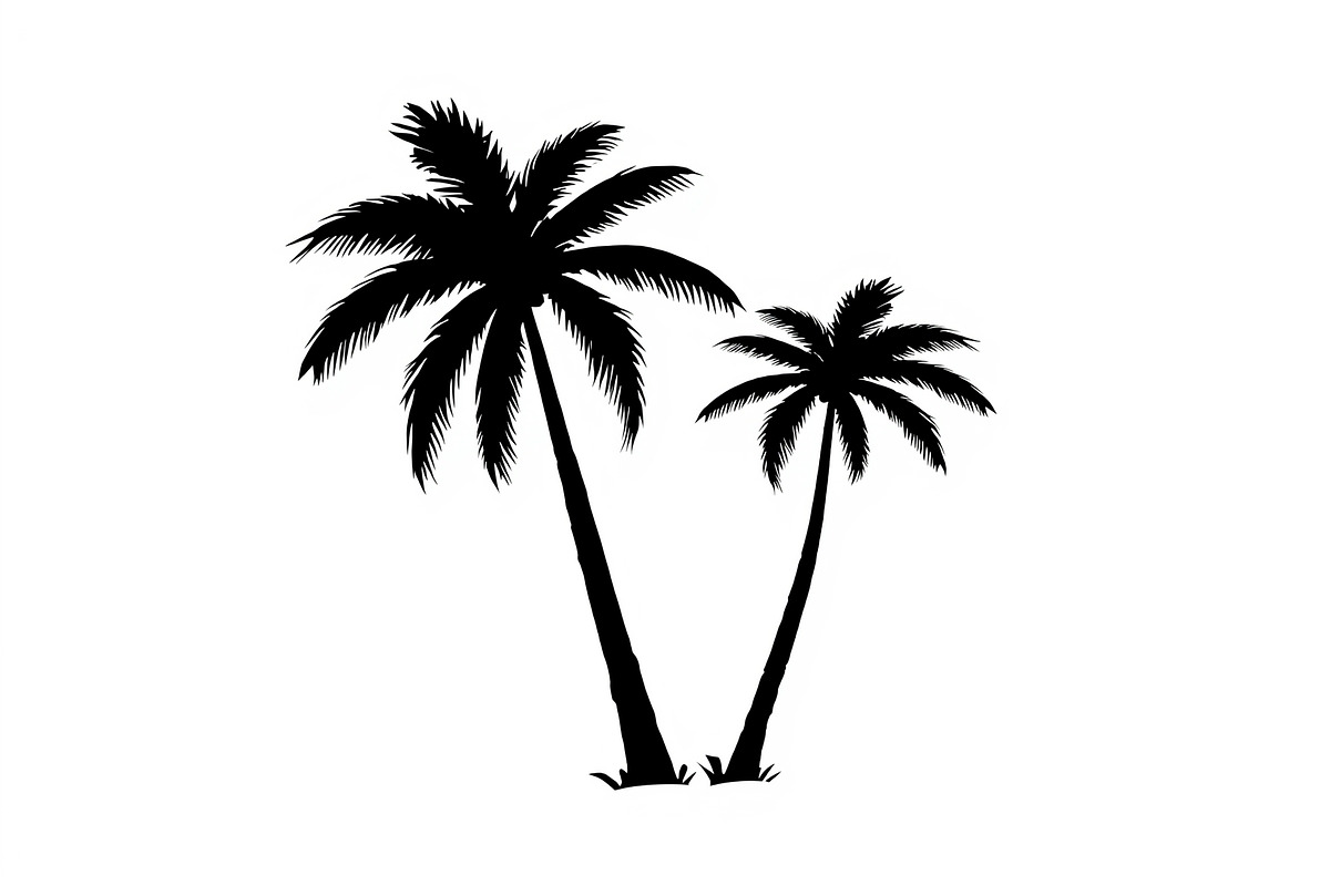 Summer Beach Palm Bundle, an Illustration by jahid234 (Photo 13 of 21)