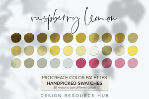 Raspberry Lemon Procreate Palette