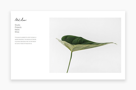 Milo - Photography WordPress Theme, a WordPress Template by MINIMAL