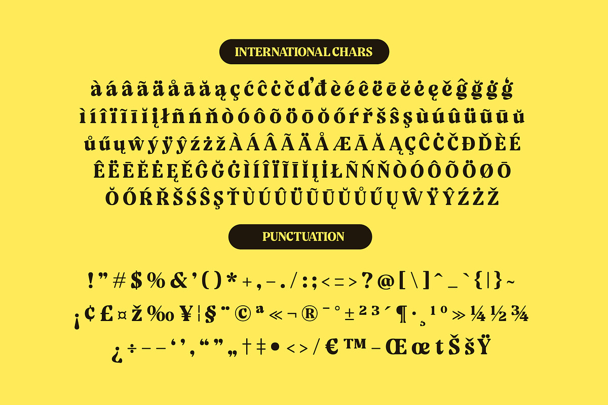 Volkgen Bold Modern Display Serif, a Serif Font by timelesstype.co (Photo 14 of 15)