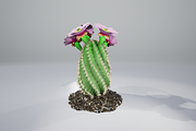 Spiral Cactus, an Environmental 3D Model by AndrewWhite (Thumbnail 10 of 13)