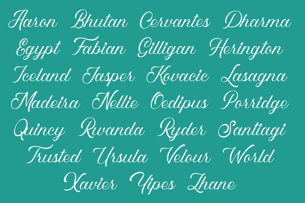Frontman - Clean Script Font, a Script Font by Arendxstudio (Photo 3 of 12)