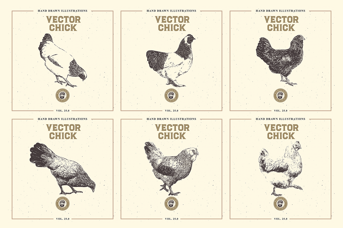 VECTOR CHICK HAND DRAWN BUNDLE VOL25, an Animal Illustration by pawellpi (Photo 6 of 9)
