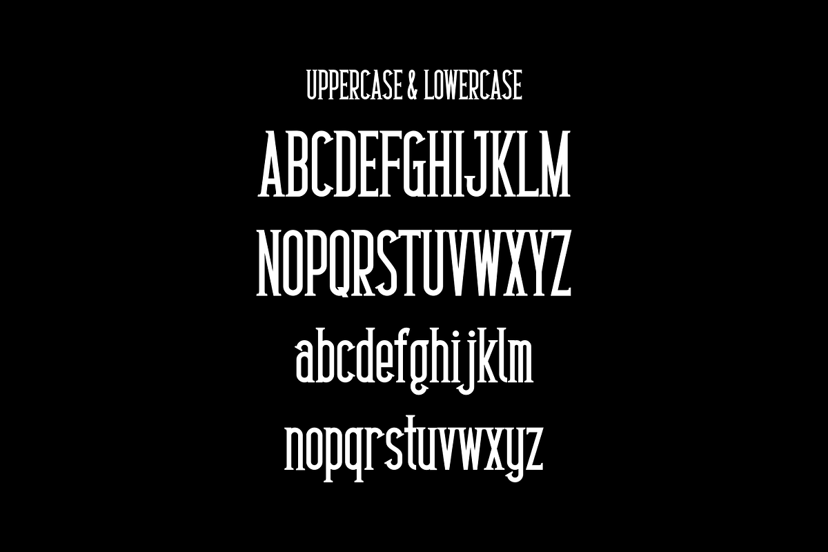 Negusa - Modern Font, a Serif Font by lelevien (Photo 2 of 4)