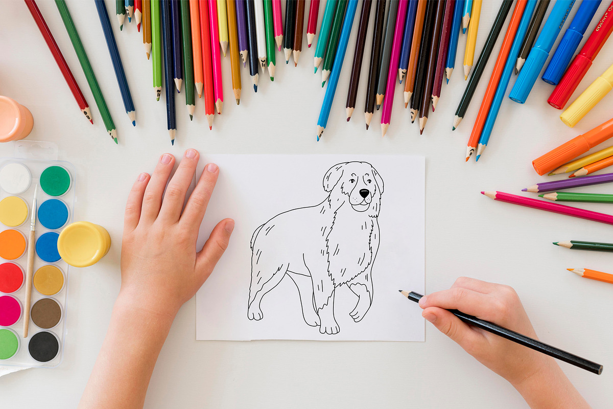 Dogs breed clipart illustrations., an Animal Illustration by svetodesign (Photo 7 of 8)