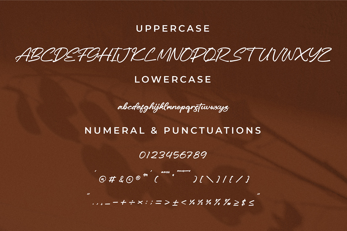 Anettasya Mottarue, a Script Font by Integritype Studio (Photo 9 of 15)