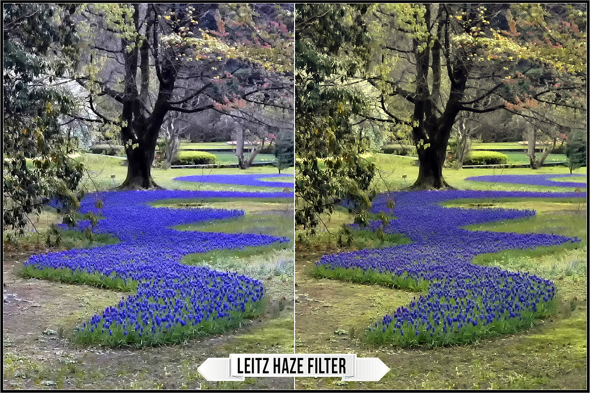 Leica Leitz Filters, a Plug-in Add-On by Raztrend (Photo 29 of 30)