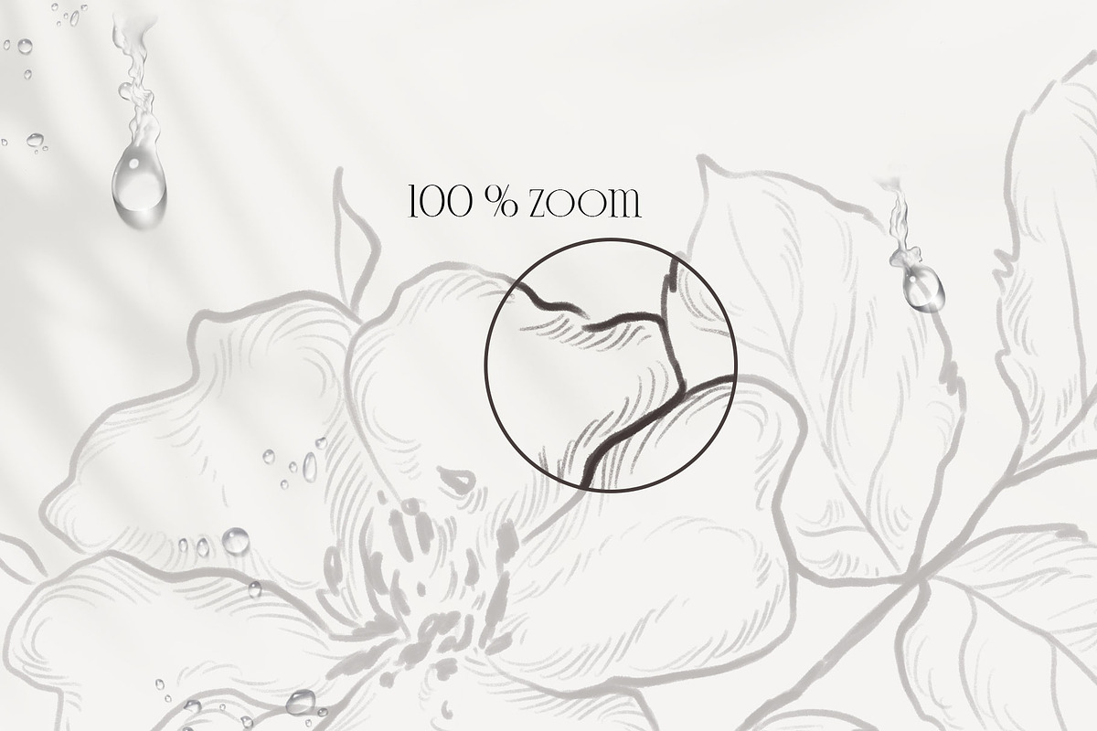 PLANTS & HERBS illustrations set, a Healthcare Illustration by Yuliia Lashevska (Photo 3 of 14)