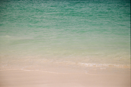 35mmFilm Stock Photo Caribbean Beach
