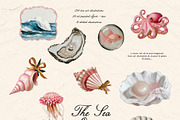 The Sea Empire: Vintage Marine Art, an Object Graphic by Purple (Thumbnail 15 of 19)