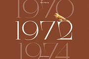 TAN - NIGHTINGALE, a Serif Font by TanType (Thumbnail 5 of 15)
