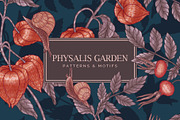 PHYSALIS GARDEN — Botanical Patterns, a Decorative Illustration by Liiafis (Thumbnail 1 of 17)