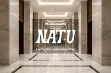 Natu | Sophisticated Modern Serif Ty