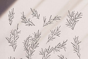 Wedding Wreaths, Laurels & Crests, an Illustration by Crocus Paperi (Thumbnail 4 of 5)