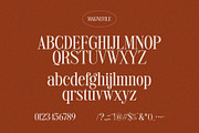 Magnefile - Classy & Stylish Serif, a Serif Font by TypeLogue (Thumbnail 5 of 5)