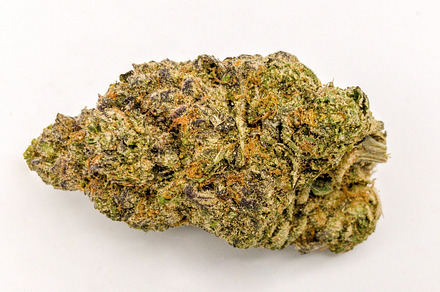 Marijuana Bud Closeup Photograph