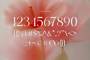 Barklie - A Nostalgic Serif Typeface, a Serif Font by Brand Earth (Thumbnail 3 of 8)