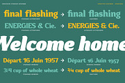 Convexion, a Serif Font by Typogama (Thumbnail 9 of 10)