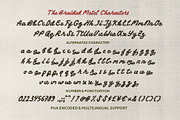 Braided Motel Movie Bold Script, a Script Font by Sloulyfe (Thumbnail 7 of 9)