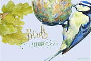 BIRDS FEEDING - Clipart set, an Illustration by watercolorwild.graphics (Thumbnail 4 of 5)