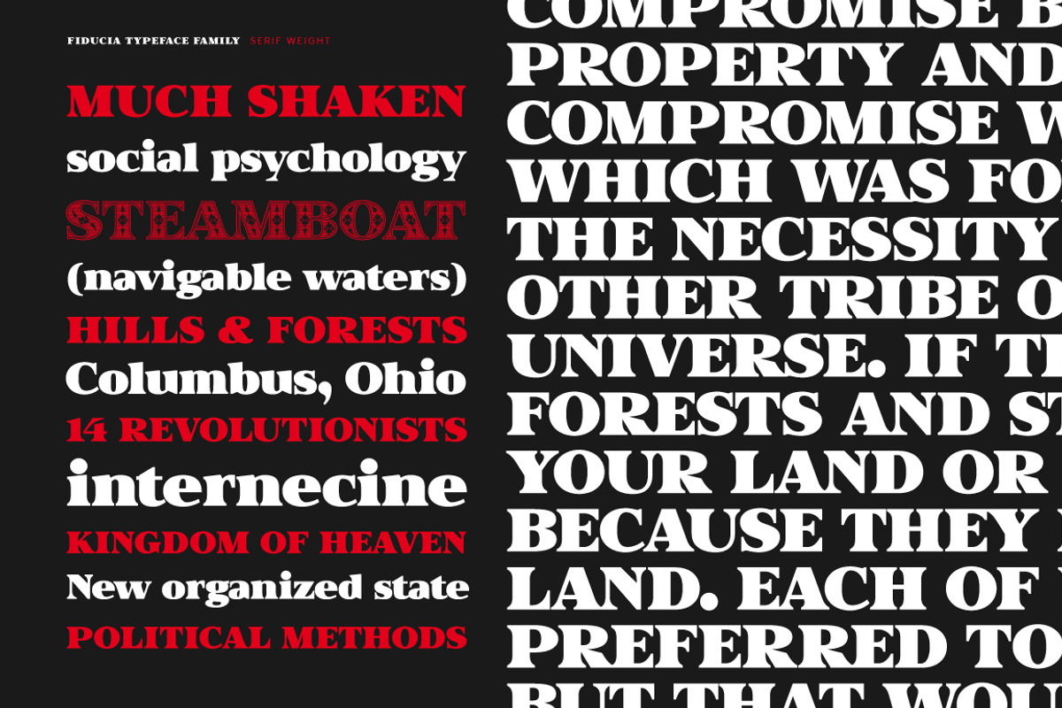 Fiducia, a Font by Typogama (Photo 7 of 11)